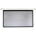 Euroscreen FFTZ350-D Projector Screens Electric