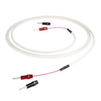Chord RumourX Speaker (Ban Terminated)